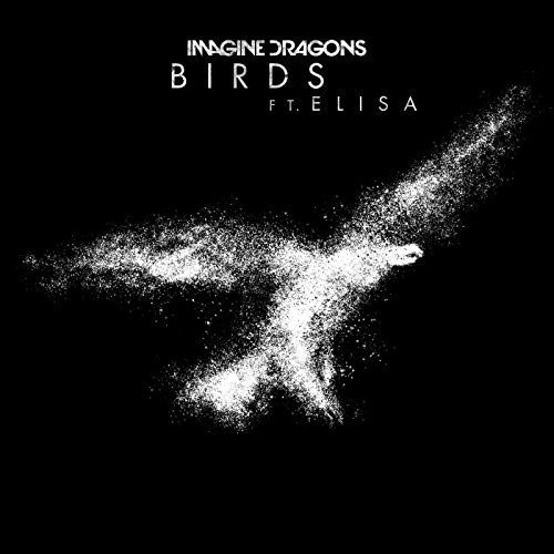 Birds 😊  Imagine Dragons