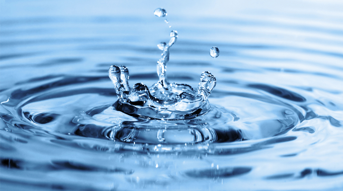 L’eau … le stress hydrique